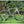Load image into Gallery viewer, ENVE Melee Road Bike 105 Di2