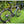 Load image into Gallery viewer, ENVE Melee Road Bike 105 Di2