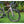 Load image into Gallery viewer, ENVE Melee Road Bike 105 Di2