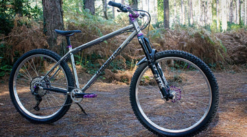 Staff Build - Jack's Transition TransAm