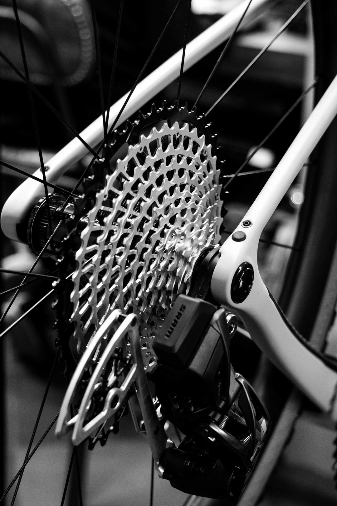 Enve Mog X Garbaruk – Rockets and Rascals Poole