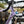 Load image into Gallery viewer, Santa Cruz Stigmata CC Custom Build in Lavender with Rudy forks - size 56cm
