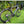 Load image into Gallery viewer, ENVE Melee Road Bike 105 Di2
