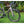 Load image into Gallery viewer, ENVE Melee Road Bike 105 Di2
